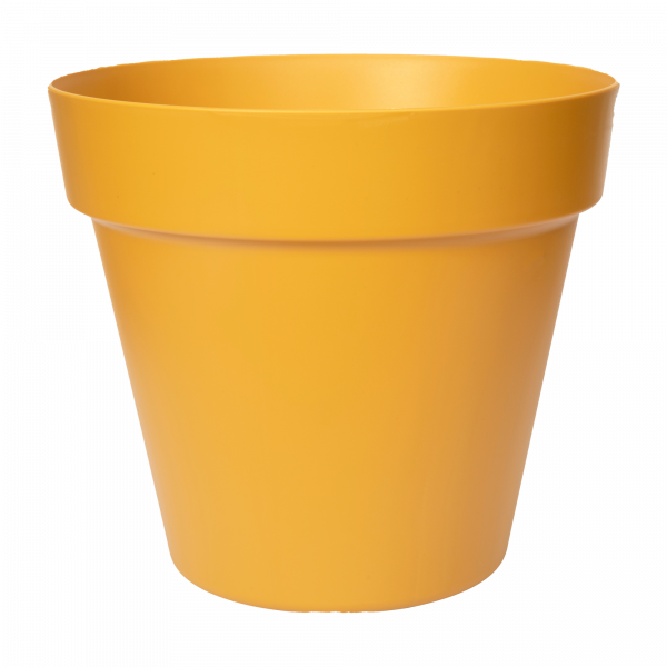 Vaso cilindro paris